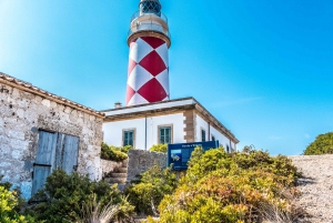 Colonia Sant Jordi: Classic & Express Tour to Cabrera Island