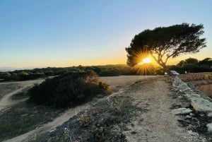 Colonia Sant Jordi: Self-Guided Outdoor Game for Families