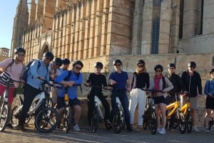 Croisière commentée de 3 heures en E-Bike, Palma de Majorque