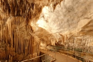 Mallorca: Cuevas del Drach Half-Day Guided Tour