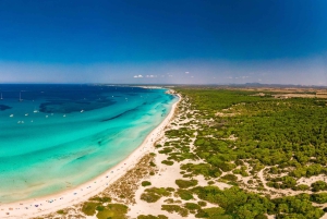Day trip to Es Trenc Beach and Cala Pi