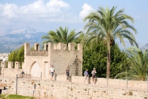 Descobre as jóias escondidas de Alcudia: Excursão a pé pela Cidade Velha