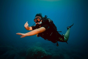 Oppdag dykking med båttur