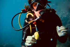 Oppdag dykking med båttur