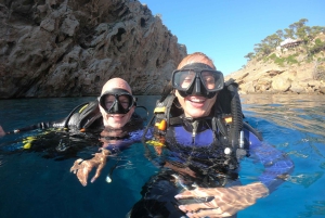 Oppdag dykking med båttur