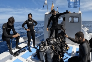 Oppdag dykking med båttur