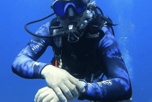 Oppdag dykking med båttur