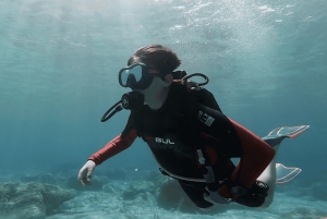 Oppdag dykking med båttur