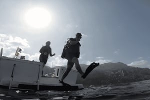 Oppdag dykking med båttur