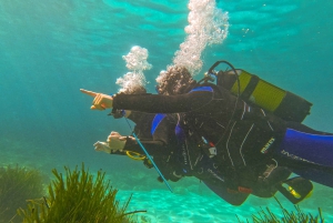Mallorca: Private Beginner Scuba Dive with Instructor