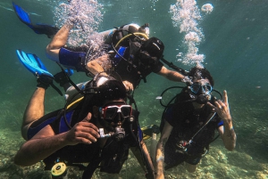 Mallorca: Private Beginner Scuba Dive with Instructor