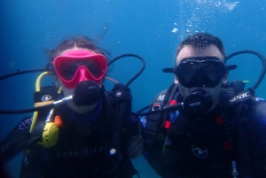 Descubre el submarinismo, ¡buceo para principiantes!