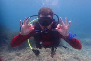 Descubre el submarinismo, ¡buceo para principiantes!