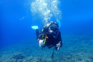 Descubre el submarinismo, ¡buceo para principiantes!