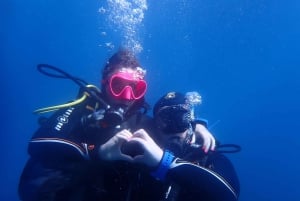 Discover Scuba Diving, mergulho para principiantes!