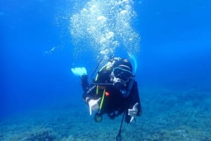 Discover Scuba Diving, mergulho para principiantes!
