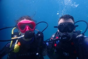 Discover Scuba Diving, mergulho para principiantes!