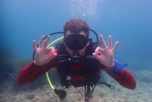 Discover Scuba Diving, mergulho para principiantes!