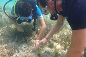 Discover Scuba Diving, mergulho para principiantes!