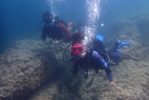 Discover Scuba Diving, mergulho para principiantes!