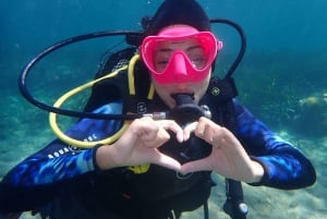 Discover Scuba Diving, mergulho para principiantes!