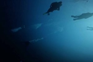 Découvrez la plongée sous-marine