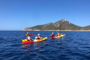 Discover the Island Dragonera by kayak and on foot