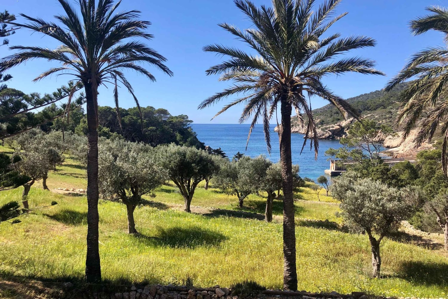 Descubre la Isla Dragonera en kayak y a pie