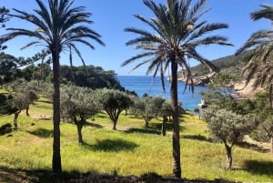 Descubre la Isla Dragonera en kayak y a pie