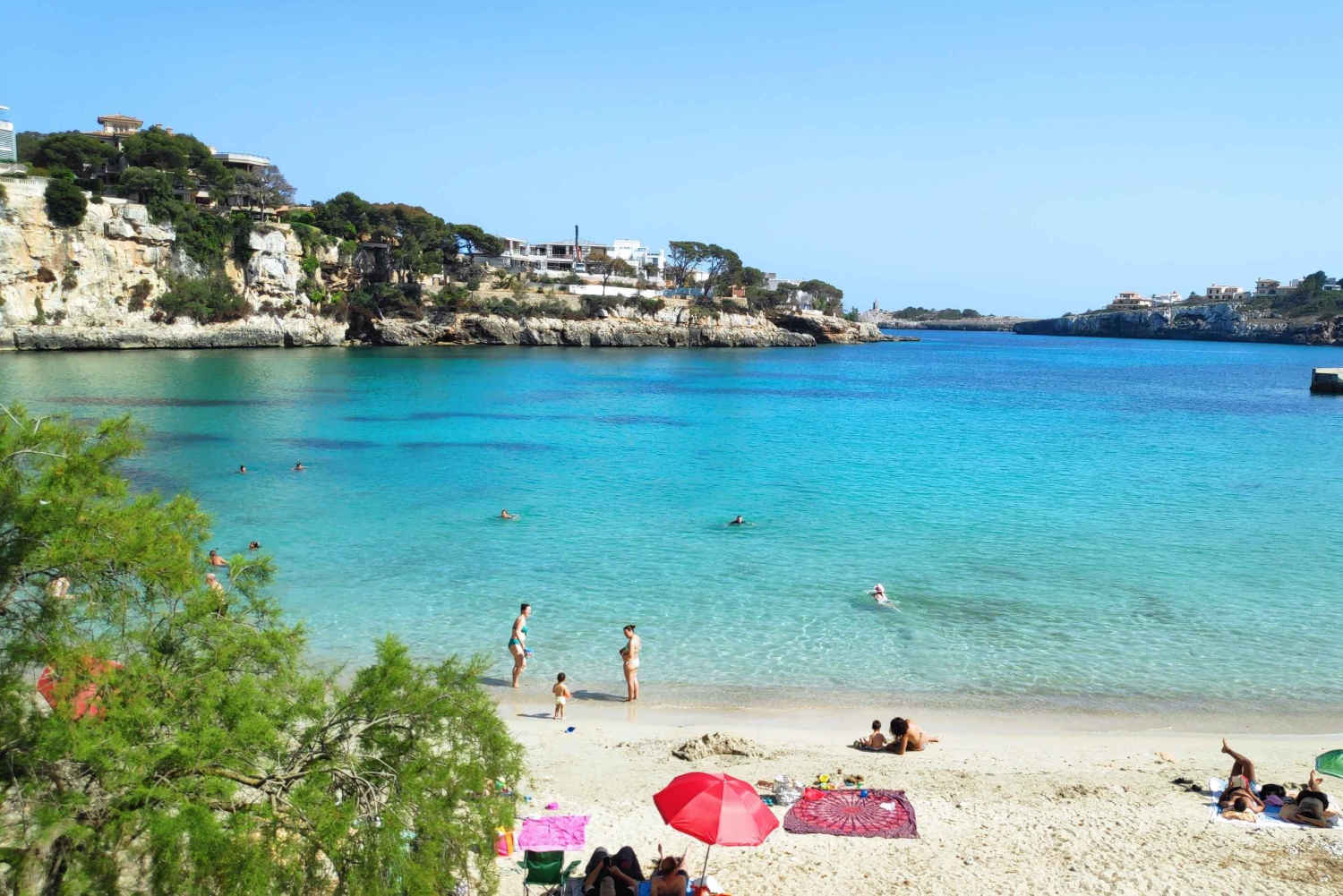 Grotte di Drach e Palma o spiaggia - Tour di un giorno intero