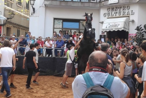 Grotte di Drach e Palma o spiaggia - Tour di un giorno intero