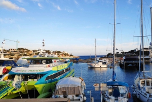 Grotte di Drach e Palma o spiaggia - Tour di un giorno intero
