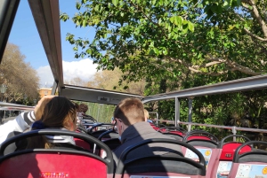 Grotte di Drach e Palma o spiaggia - Tour di un giorno intero