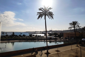 Grotte di Drach e Palma o spiaggia - Tour di un giorno intero