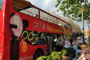 Grotte di Drach e Palma o spiaggia - Tour di un giorno intero