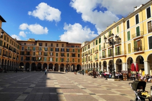 Grotte di Drach e Palma o spiaggia - Tour di un giorno intero