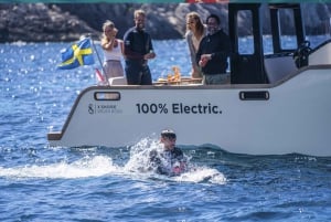 Electric Boat Family Tour