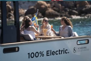 Electric Boat Family Tour