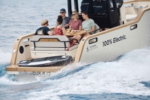 Electric Boat Family Tour