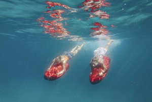 Tour in barca elettrica per famiglie