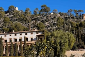 Ta del av förtrollningen under mandelblomssäsongen på Mallorca