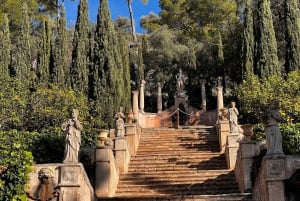 Lass dich vom Zauber der Mandelblüte auf Mallorca verzaubern