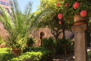 Lass dich vom Zauber der Mandelblüte auf Mallorca verzaubern