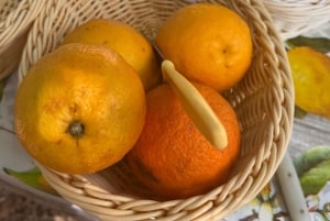 Lass dich vom Zauber der Mandelblüte auf Mallorca verzaubern