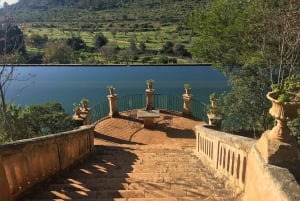 Lass dich vom Zauber der Mandelblüte auf Mallorca verzaubern