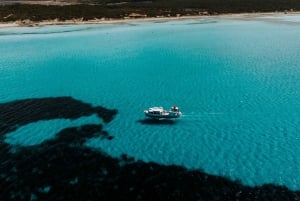 Es Trenc, Mallorca: Båttur, snorkling i krystallklart vann