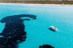 Es Trenc, Mallorca: passeio de barco, mergulho com snorkel em águas cristalinas