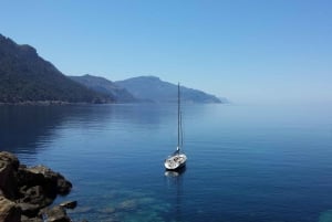 Port d'Alcúdia, Mallorca: Exclusive Half Day Sailing Trip.
