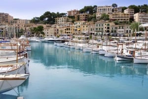 Palma: Guided Mallorca Island Tour Via Boat, Train, and Bus