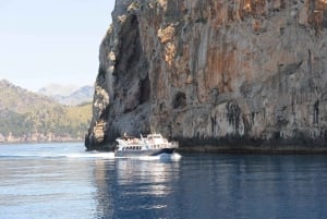 Palma: Guided Mallorca Island Tour Via Boat, Train, and Bus